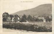 74 Haute Savoie CPA FRANCE 74 " St Cergues les Voirons, L'archet".