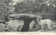 CPA FRANCE 30 " Environs d'Anduze, Dolmen de la grande Palhière"./ DOLMEN