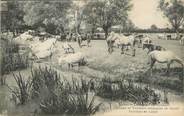 30 Gard CPA FRANCE 30 " Le Cailar, Chevaux et taureaux".