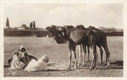 CPA ALGERIE "les Chameaux" / ORIENTALISME / SCÈNES ET TYPES 