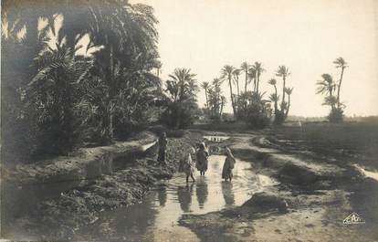 CPA ALGERIE "Oasis" / ORIENTALISME / SCÈNES ET TYPES 