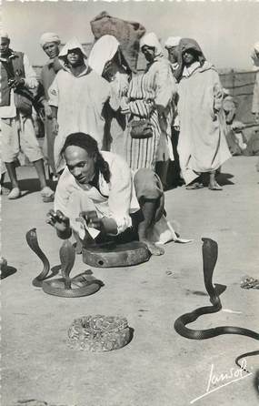 CPSM ALGERIE "charmeur de serpents" / ORIENTALISME / SCÈNES ET TYPES 