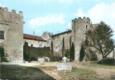 CPSM FRANCE 30 " St Christol les Alès, Le château de Montmoirac".