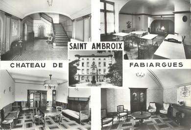 CPSM FRANCE 30 " St Ambroix, Château de Fabiargues".