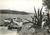 83 Var CPSM FRANCE 83 " Ile de Porquerolles, Vue vers le port".