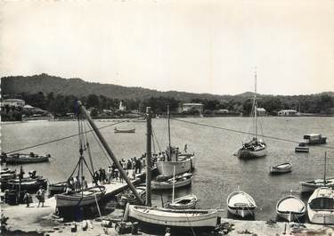 CPSM FRANCE 83 " Ile de Porquerolles, Le port arrivée du courrier".