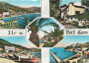 CPSM FRANCE 83 " Ile de Port Cros, Vues".