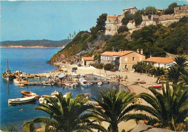 CPSM FRANCE 83 " Ile de Port Cros, Le port et le château".