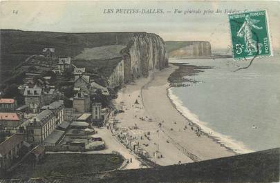 CPA FRANCE 76 " Les Petites Dalles, Vue générale prise des falaises".