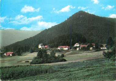 CPSM FRANCE 67 " Les Quelles, Hôtel Restaurant Neuhauser".