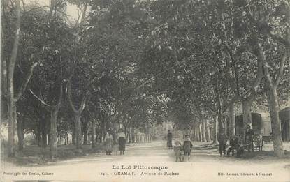 CPA FRANCE 46 " Gramat, Avenue de Padirac".