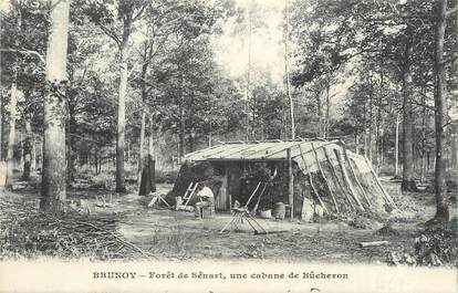 CPA FRANCE 91 "Brunoy, Forêt de Sénart, une cabinet de bûcheron".