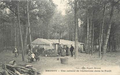 CPA FRANCE 91 "Brunoy, Une cabane de bûcherons dans la forêt"