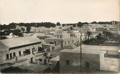 CPSM TUNISIE "Ile de Djerba, Panorama"