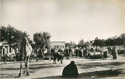 CPSM TUNISIE "Ile de Djerba, le Marché aux Bestiaux d'Houmt Souk"