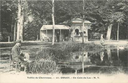 CPA FRANCE 91 "Orsay, Un coin du lac"./ PECHE