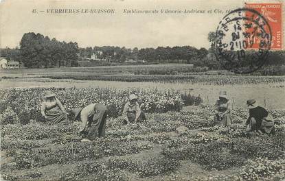 CPA FRANCE 91 " Verrières le Buisson, Etablissements Vilmorin Andrieux et Cie".