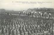 91 Essonne CPA FRANCE 91 " Verrières le Buisson, Etablissements Vilmorin, Champ d'expériences".