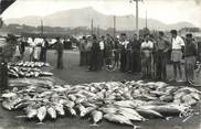 64 PyrÉnÉe Atlantique CPSM FRANCE 64 " St Jean de Lutz, Au port vente de poissons à la criée".