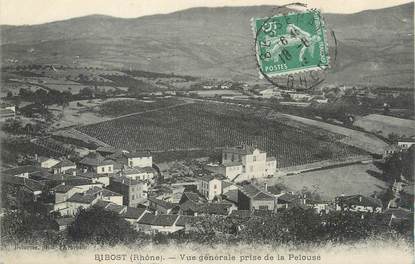 CPA FRANCE 69 " Bibost, Vue générale prise de la pelouse".