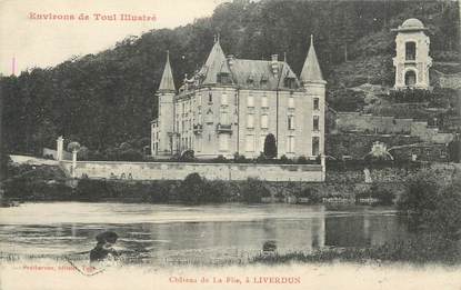 CPA FRANCE 54 " Liverdun, Le château de la Flie".