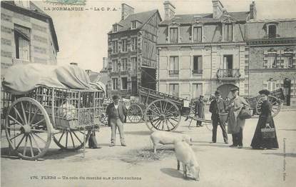 CPA FRANCE 61 "Flers, Un coin du marché aux petits cochons".