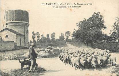 CPA FRANCE 77 " Champeaux, Le réservoir d'eau et les moutons au pâturage".