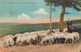 CPA FRANCE 19 " Le Mont Audouze, Troupeau de moutons".