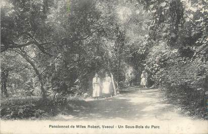 CPA FRANCE 70 "Vesoul, Pensionnat de Mlles Robert, un sous-bois du parc".