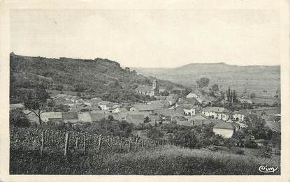 CPA FRANCE 70 " Rosières sur Mance, Vue générale".