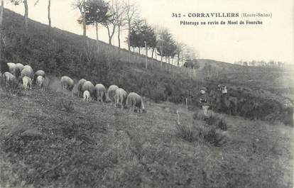 CPA FRANCE 70 " Corravillers, Pâturage au ravin du Mont de Fourche".