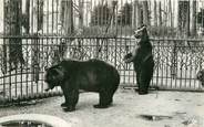 69 RhÔne CPSM FRANCE 69 " Lyon, Parc de la tête d'or, les ours".