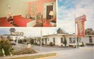 Etat Uni CPSM USA "Central Florida Motel, Haines City, Floride"