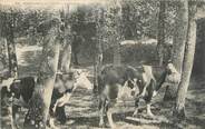 25 Doub CPA FRANCE 25 " Montagnes du Doubs, Les vaches".