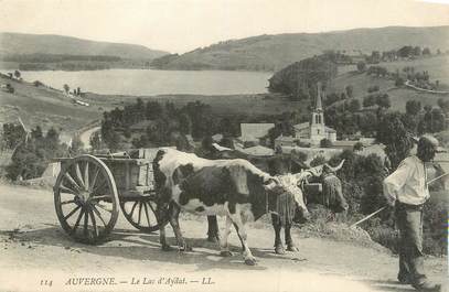 CPA FRANCE 63 "Aydat, Le lac"