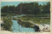 63 Puy De DÔme CPA FRANCE 63 " Bourg Lastic, Laveuse sur le Cornes".