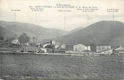 CPA FRANCE 63 " St Pierre la Bourlhomme, Les monts du Forez".