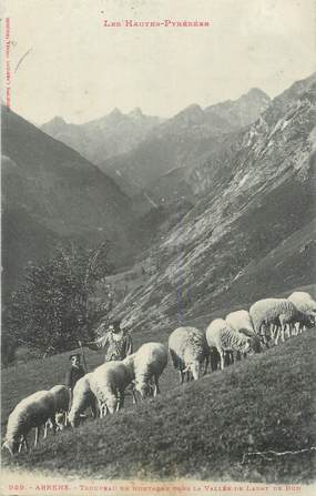CPA FRANCE 65 " Arrens, Troupeau en montagne dans le vallée de Labat de Bun".