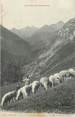 65 Haute PyrÉnÉe CPA FRANCE 65 " Arrens, Troupeau en montagne dans le vallée de Labat de Bun".