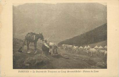 CPA FRANCE 65 " Barèges, La descente des troupeaux au camp Bernard Rollot, plateau de Liens".