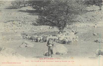 CPA FRANCE 65 "La vallée du Lys, Un patre et son troupeau".