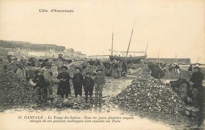 CPA FRANCE 35 "Cancale, le  triage  des huitres"