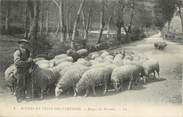 65 Haute PyrÉnÉe CPA FRANCE 65 " Scènes et types des Pyrénées, Un berger".