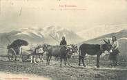 65 Haute PyrÉnÉe CPA FRANCE 65 " Les Pyrénées, Un atelage montagnard". / ANE