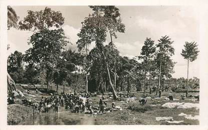 CPSM COTE D'IVOIRE "Abidjan, laveuses"