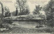 46 Lot CPA FRANCE 46 " Livernon, La Pierre Martine". / DOLMEN