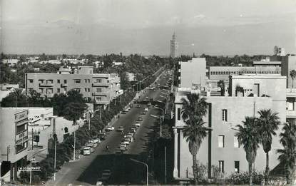 CPSM MAROC "Marrakech, avenue Mohammed V"