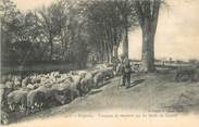 83 Var CPA FRANCE 83 " Brignoles, Troupeaux de moutons sur les bords du Caramy".