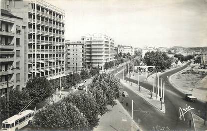 CPSM FRANCE 83 " Toulon, Avenue Maréchal Foch".