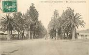 83 Var CPA FRANCE 83 " Hyères Les Palmiers, Avenue Gambetta".